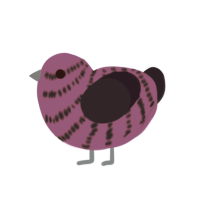 (unnamed), a plum and tumblr chicken with a bar pattern
