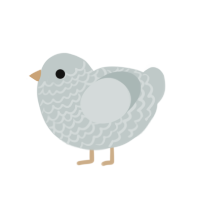 Daisy, a silver chicken with a lace pattern