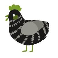 radio interference 2, a sable and ash chicken with a bar pattern