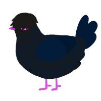 Tumblr Goth, a sable and tumblr chicken with a double-lace pattern