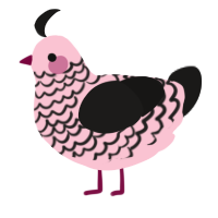 (unnamed), a rose and sable chicken with a lace pattern