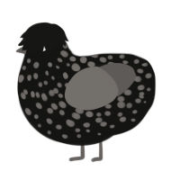 Mercy, a black and grey chicken with a speckle pattern