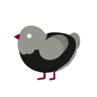 Quotidian, a sable and ash chicken with a head pattern