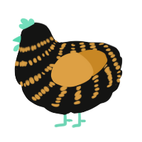 A black and orange chicken with a bar pattern