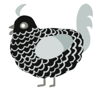 (unnamed), a black and silver chicken with a lace pattern