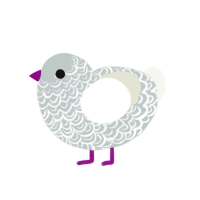 Cirrus, a silver and white chicken with a double-lace pattern