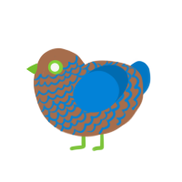 (unnamed), a brown and sapphire chicken with a lace pattern