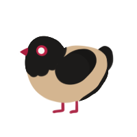 (unnamed), a beige and sable chicken with a head pattern