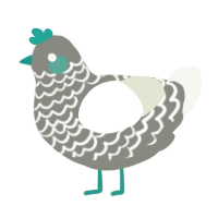 blue footed booby, a ash and white chicken with a lace pattern