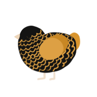 Pumpkin, a black and orange chicken with a lace pattern