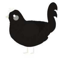 Darker, a sable chicken with a lace pattern