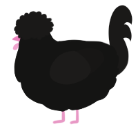 Yet Darker, a black and sable chicken
