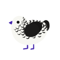 ufs, a white and sable chicken with a half-lace pattern