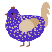 A indigo and beige chicken with a speckle pattern