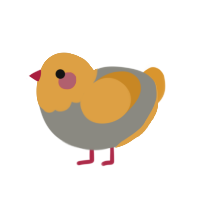 Eggshell, a ash and orange chicken with a head pattern