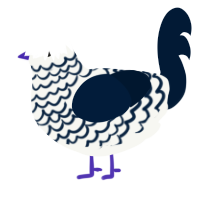 The Old Lighthouse, a white and tumblr chicken with a lace pattern