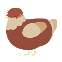 Drumstick, a russet and beige chicken with a head pattern