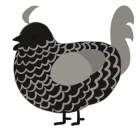 (unnamed), a sable and ash chicken with a lace pattern