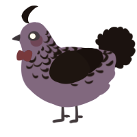 Borth, a indigo and black chicken with a half-lace pattern