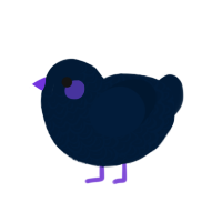 xxy zw, a tumblr chicken with a double-lace pattern