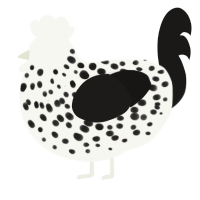 (unnamed), a white and sable chicken with a speckle pattern