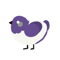 (unnamed), a white and overcast chicken with a head pattern