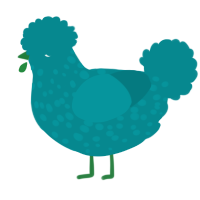 A teal chicken with a speckle pattern