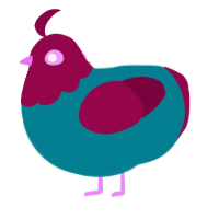 Nab, a sea and maroon chicken with a head pattern