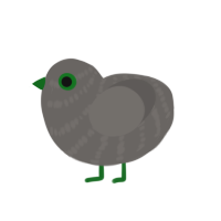 (unnamed), a grey chicken with a bar pattern
