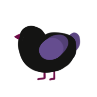 (unnamed), a black and overcast chicken