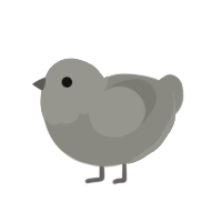 Chance, a ash chicken with a head pattern