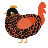 Bawkorange, a black and vermilion chicken with a lace pattern