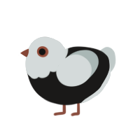 (unnamed), a sable and silver chicken with a head pattern