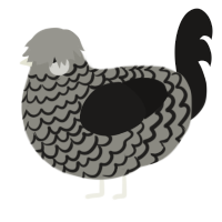 (unnamed), a ash and sable chicken with a lace pattern