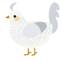 Thimble, a white and mist chicken with a lace pattern