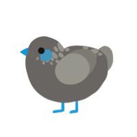 Greeble, a grey and ash chicken with a neck-speckle pattern