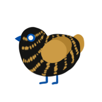 Flynt, a black and gold chicken with a bar pattern