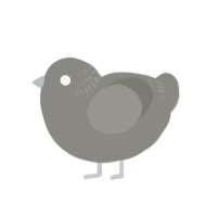 Remember, a ash chicken with a neck-band pattern