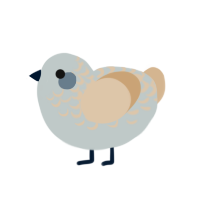 ufs marble top, a silver and beige chicken with a half-lace pattern