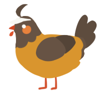 Pumpkin, a orange and bark chicken with a head pattern