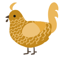 Porridge, a ochre and honey chicken with a lace pattern