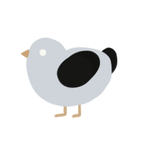 Display Error, a mist and black chicken