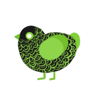 Mon3tr, a sable and grass chicken with a double-lace pattern