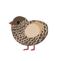 shortbread, a bark and beige chicken with a lace pattern