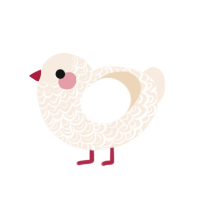 Cadburry, a cream chicken with a double-lace pattern