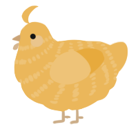 (unnamed), a honey chicken with a bar pattern