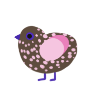 Project 1, a bark and pink chicken with a speckle pattern