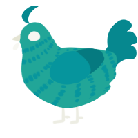 Zipper, a turquoise and teal chicken with a bar pattern