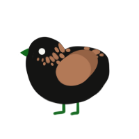 (unnamed), a black and brown chicken with a neck-speckle pattern