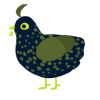 Seedy Rye Bread, a tumblr and olive chicken with a speckle pattern